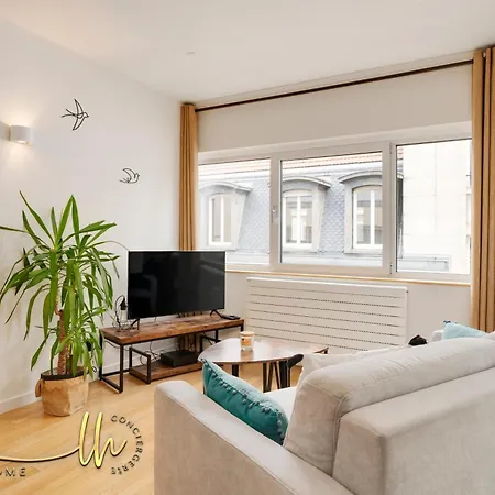 Chaleureux, Lumineux Et Confortable F2 Rénové En Plein Coeur De * Nancy