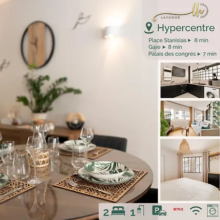 Chaleureux, Lumineux Et Confortable F2 Renove En Plein Coeur De Appartement Nancy