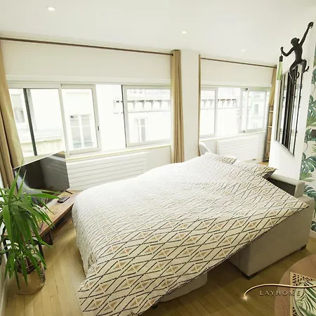 Appartamento Chaleureux, Lumineux Et Confortable F2 Rénové En Plein Coeur De