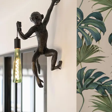 Chaleureux, Lumineux Et Confortable F2 Rénové En Plein Coeur De * Nancy