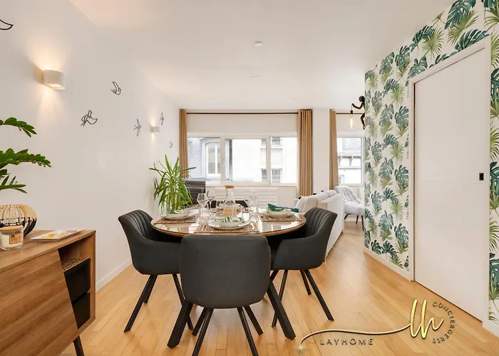 Chaleureux, Lumineux Et Confortable F2 Renove En Plein Coeur De