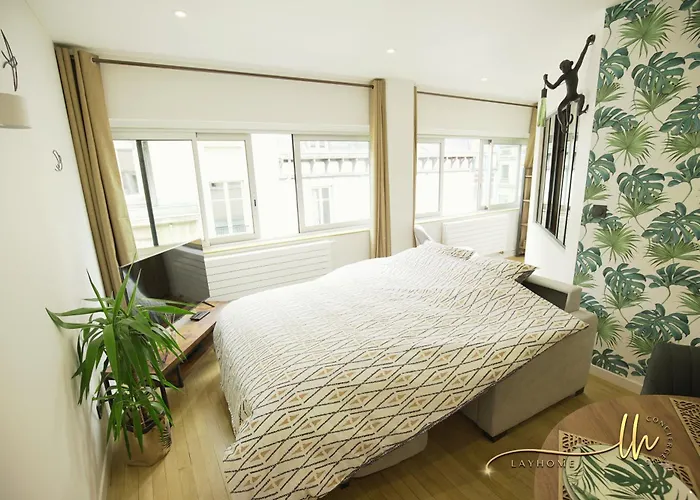 Apartment Chaleureux, Lumineux Et Confortable F2 Renove En Plein Coeur De