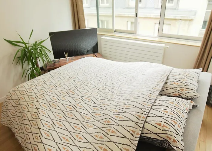 Chaleureux, Lumineux Et Confortable F2 Renove En Plein Coeur De *